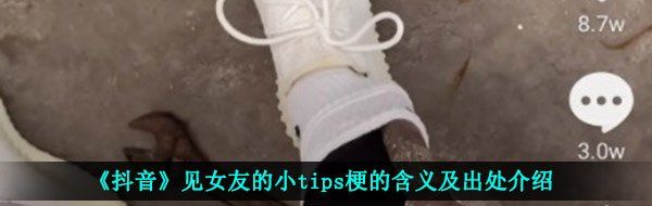 抖音见女友的小tips是什么意思-见女友的小tips梗的含义及出处介绍