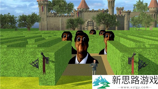 盖瑞躲猫猫下载正版直装版