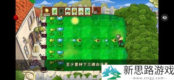 植物大战僵尸活死人之园废稿版汉化版