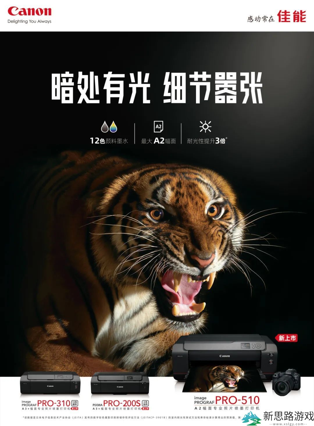 佳能PRO系列打印机新技术 - 专业照片打印的未来有哪些突破？