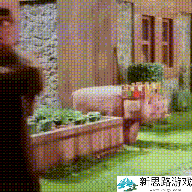23岁因癌症去世的传奇玩家，在《我的世界》大电影里变成了一只猪