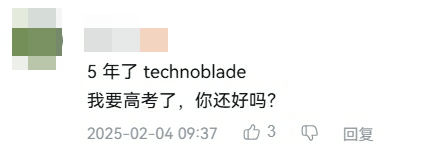 23岁因癌症去世的传奇玩家，在《我的世界》大电影里变成了一只猪