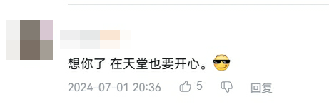 23岁因癌症去世的传奇玩家，在《我的世界》大电影里变成了一只猪