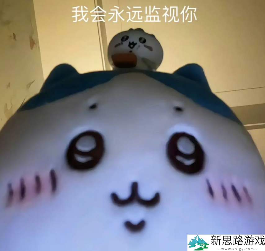 23岁因癌症去世的传奇玩家，在《我的世界》大电影里变成了一只猪