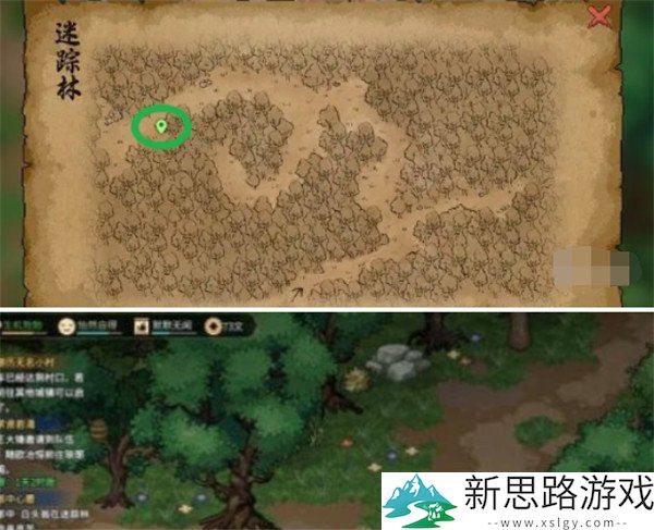 大侠立志传灵芝获取攻略：如何快速获得灵芝？