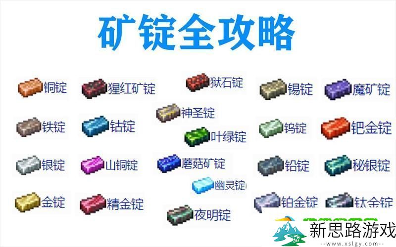 泰拉瑞亚-探险家的宝藏——稀有物品全揭秘