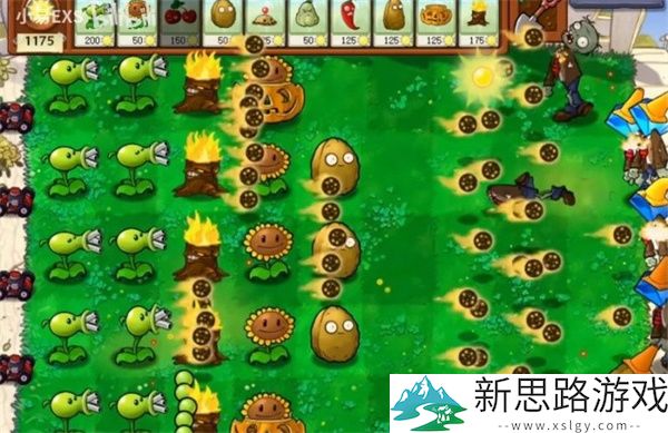 植物大战僵尸cl版下载游戏